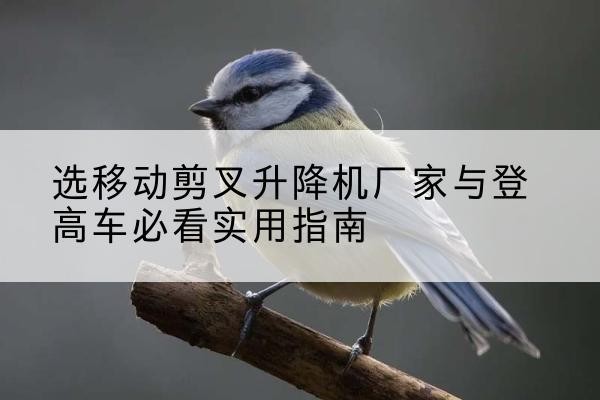 泽库电动升降机厂家-选移动剪叉升降机厂家与登高车必看实用指南