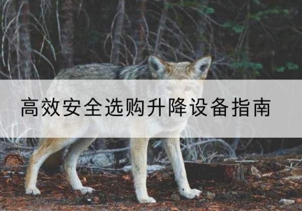 泽库升降货梯厂家推荐-*安全选购升降设备指南